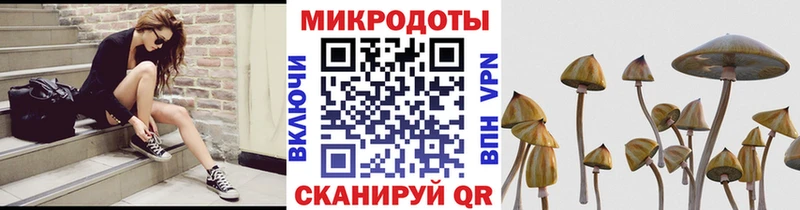 Галлюциногенные грибы мухоморы  Микунь 